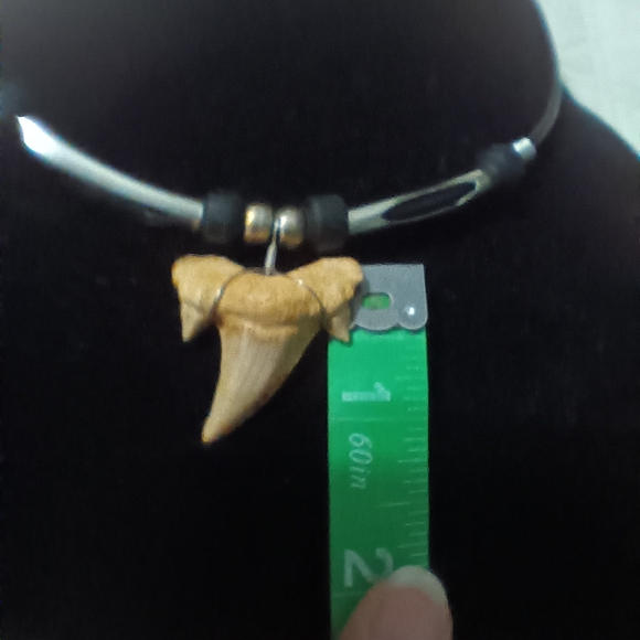 Shark tooth necklace - Picture 5 of 6
